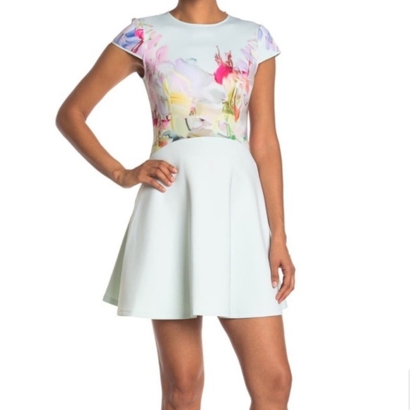 Ted Baker Rivana Fit & Flare Dress Light Blue Hanging Gardens Floral Size 0 US 2 - Picture 3 of 15
